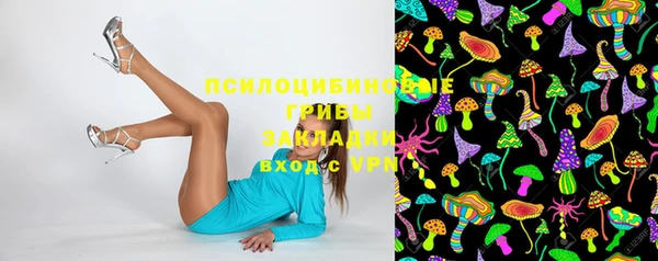 хмурый Богородицк