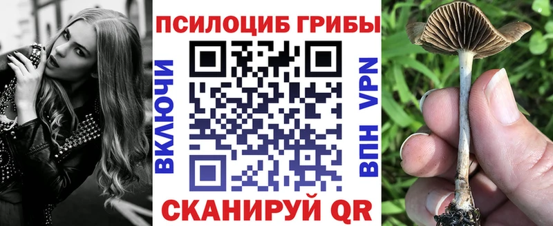 MEGA маркетплейс  Донской  Псилоцибиновые грибы GOLDEN TEACHER 
